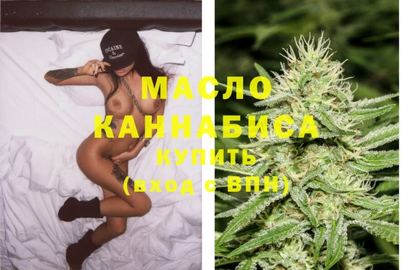 шишки Дубна